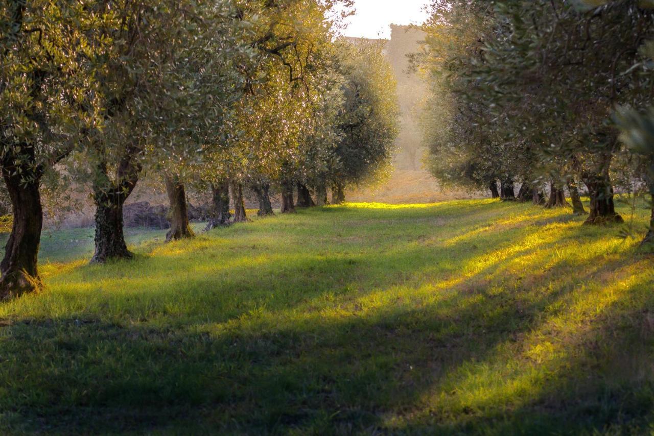 La Gemma Sul Lago Манерба-дель-Гарда Екстер'єр фото